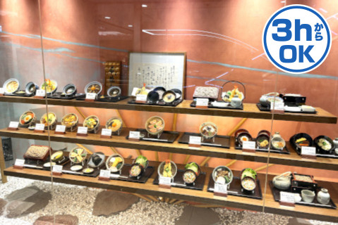 Pica2951500