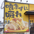 Spmdb45996017361