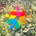 Spmgd53700017490