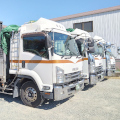 Spmgd54284017511
